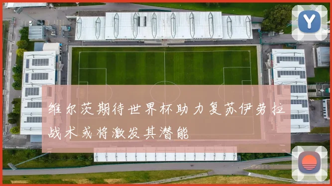 维尔茨期待世界杯助力复苏伊劳拉战术或将激发其潜能